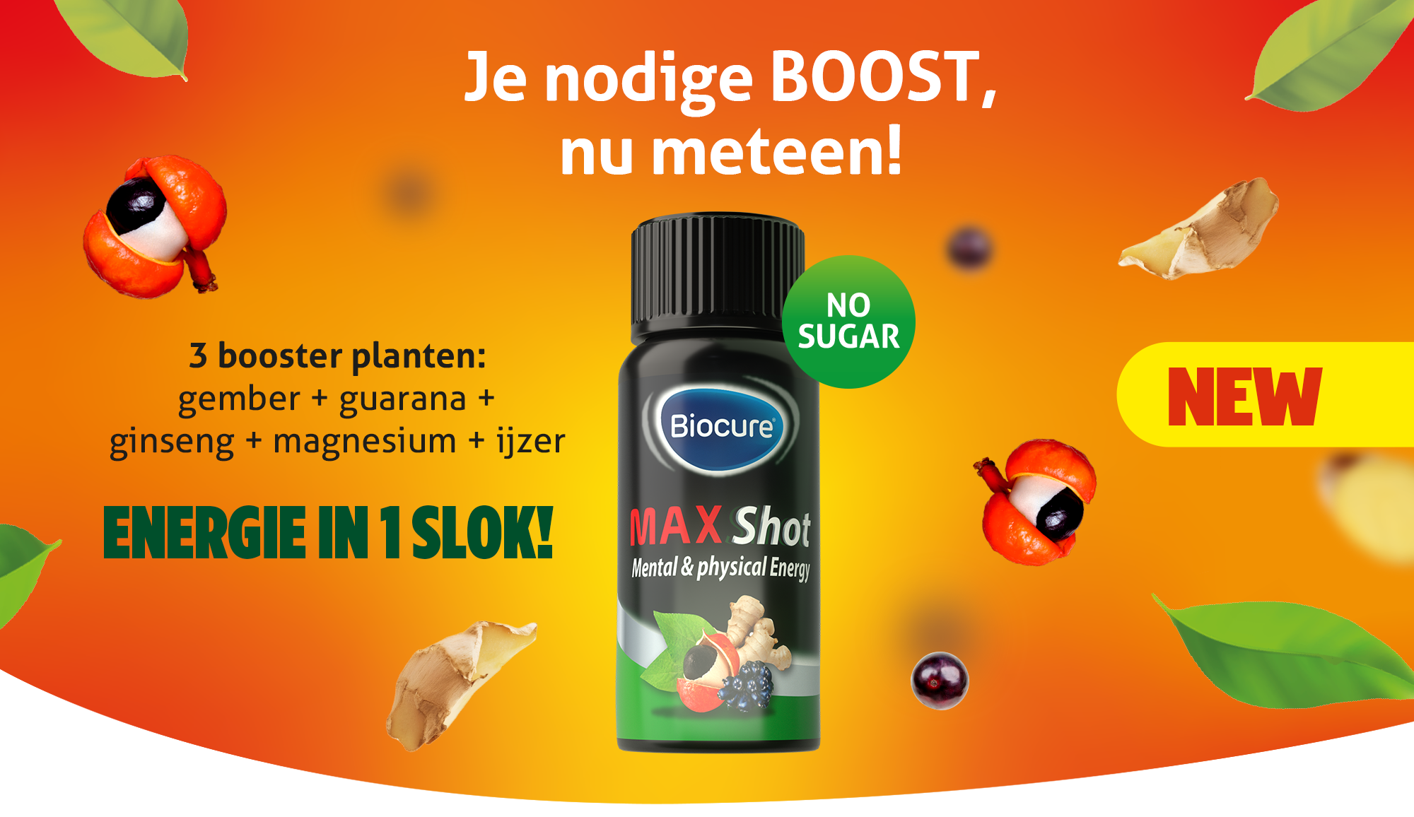 Biocure_MaxBoost_header
